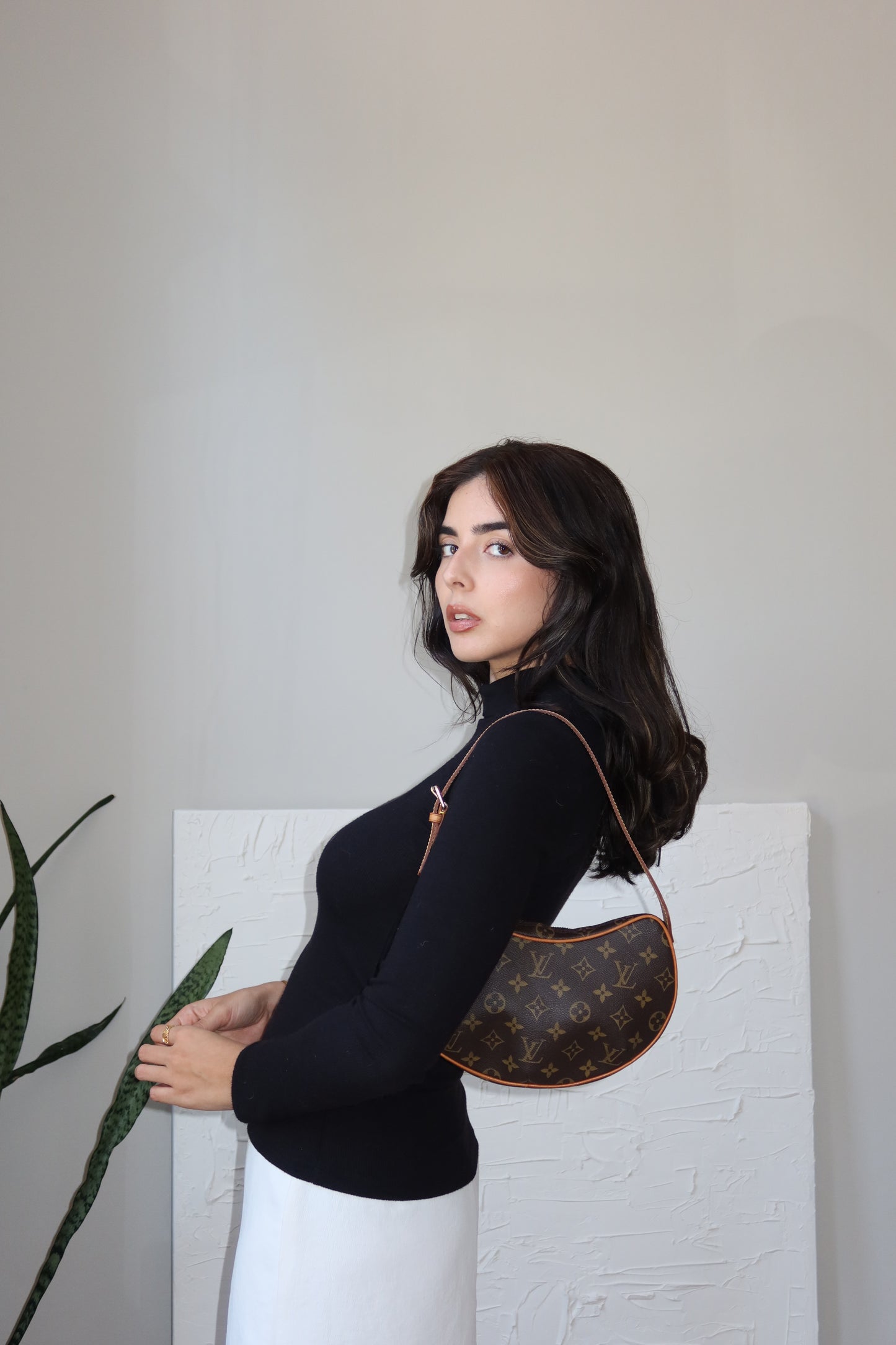 Louis Vuitton Croissant PM Bag