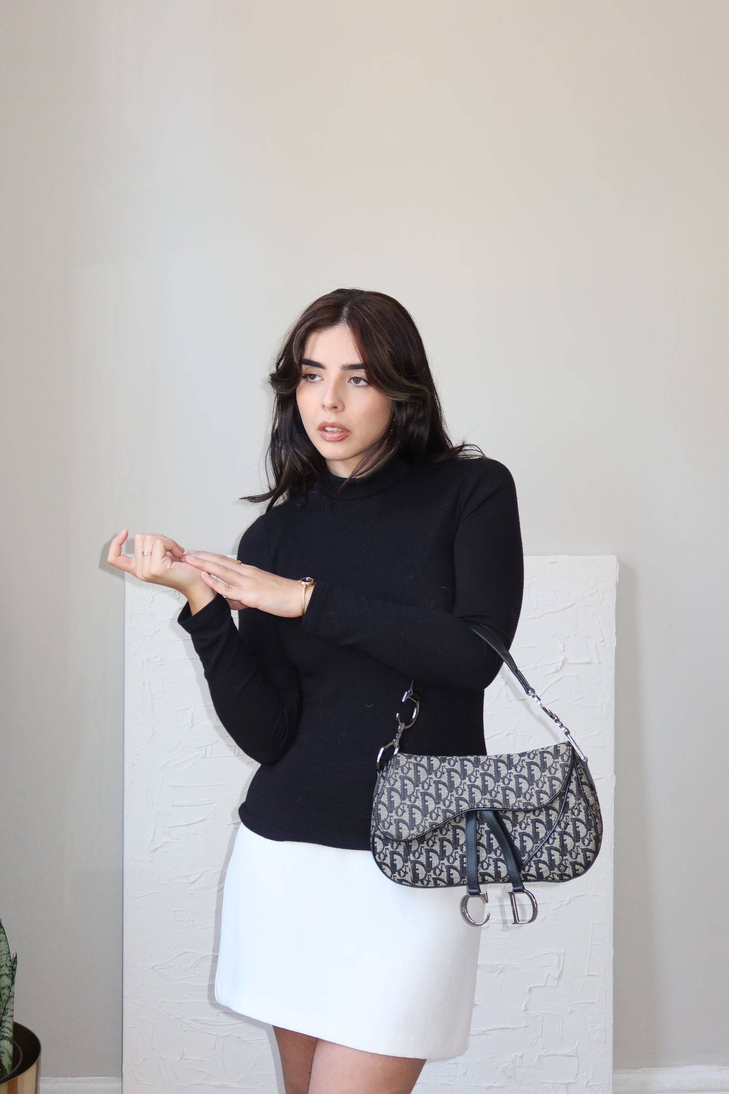 Christian Dior Double Flap Saddle Bag