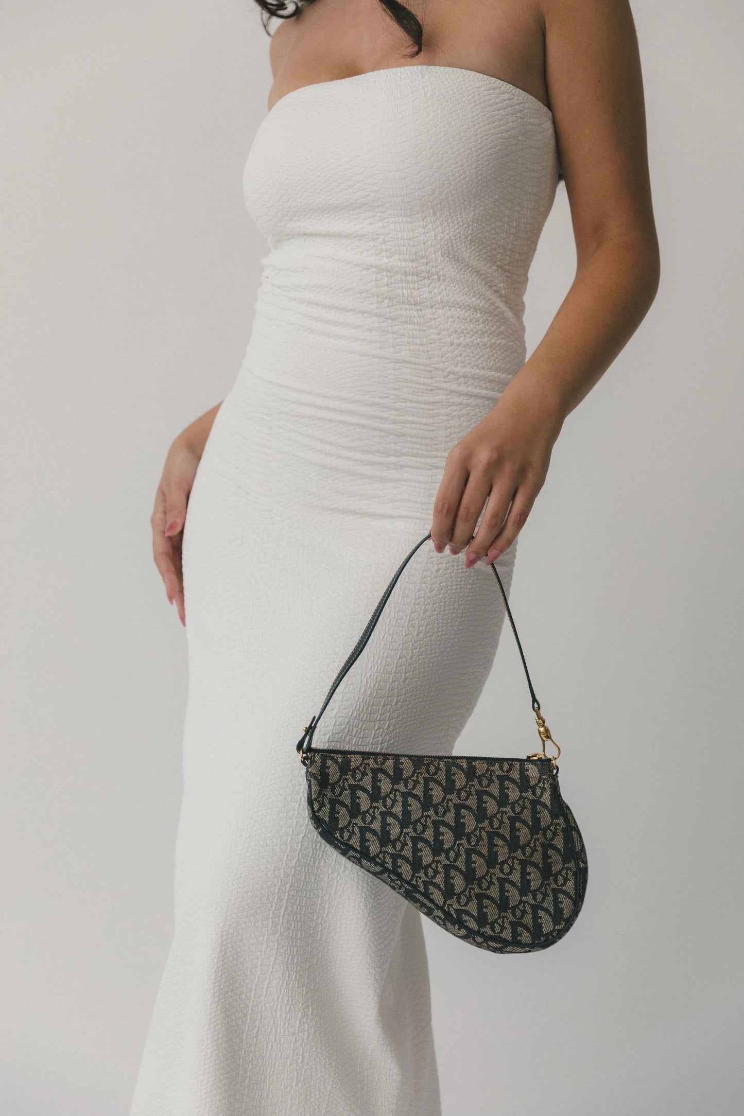 Dior Monogram Saddle Bag
