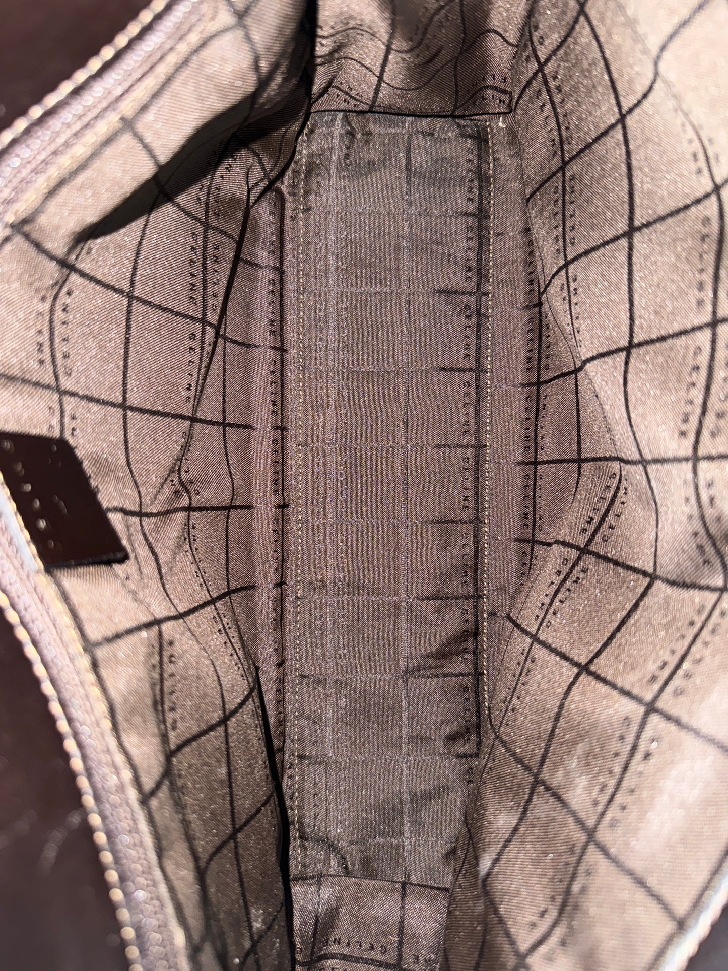 Celine Ponyhair Triomphe Shoulder Bag