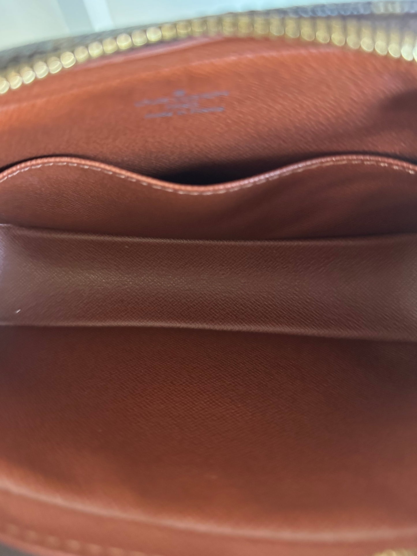 Louis Vuitton Cite Pochette